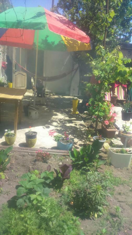 Boutique Hotel Pʼotʼi المظهر الخارجي الصورة